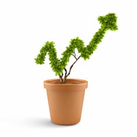 Plant in pot shaped like graph. Wealth concept Plant in pot shaped like graph. Wealth concept